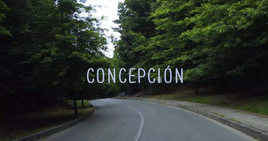 Bustin Chile in Concepción