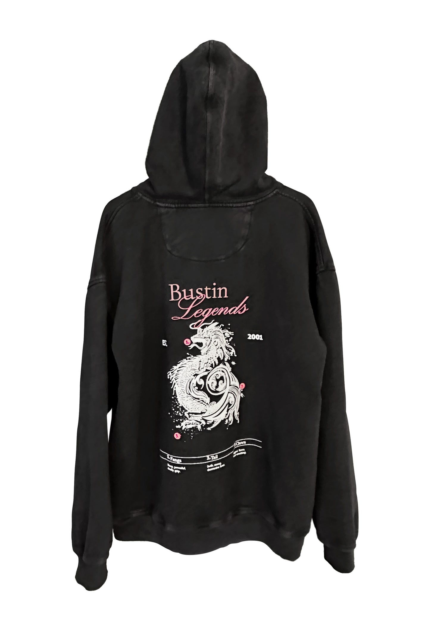 Dragon Hoodie