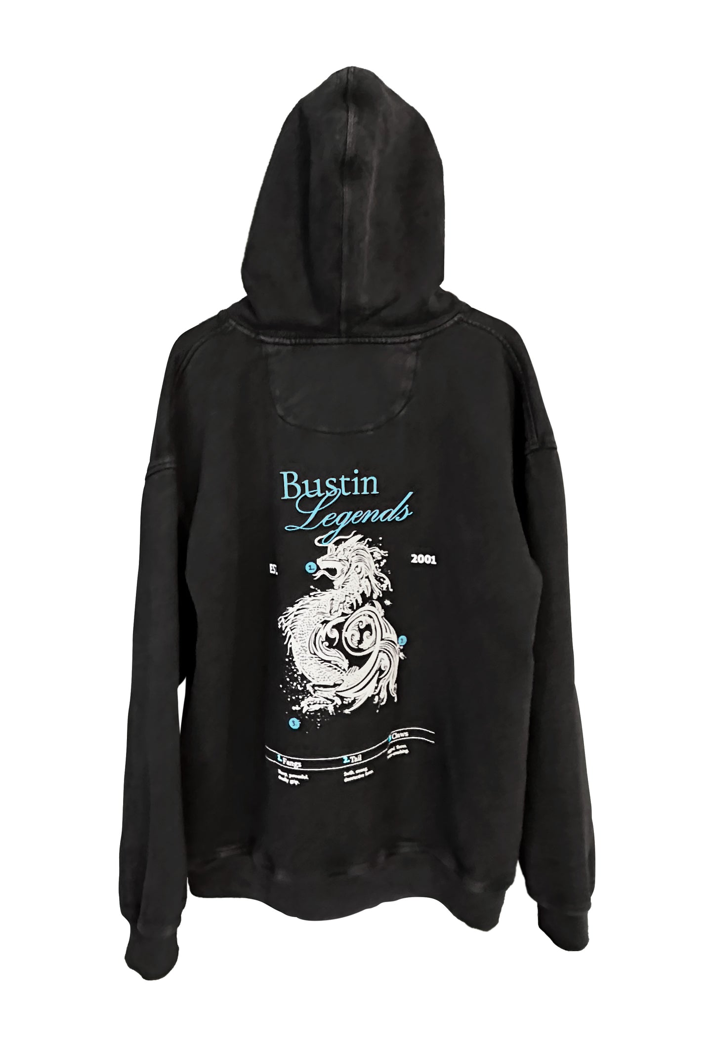 Dragon Hoodie